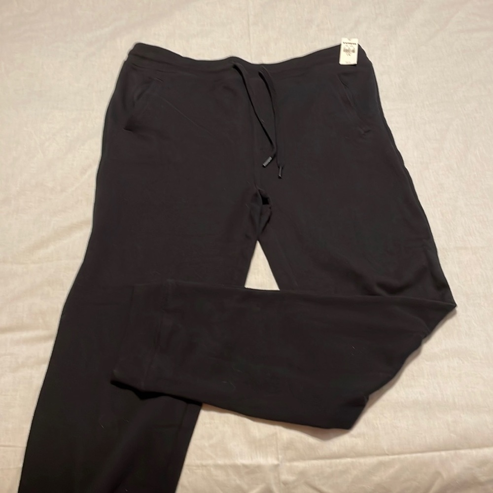 Express sweat pants